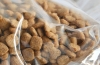 Alergia na karmę dla psów