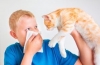 Uczulenie na koty – co jest przyczyną i jakie koty można trzymać