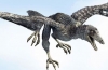 Archaeopteryx (łac. Archaeopteryks)