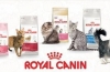 Asortyment i skład karmy dla kotów royal canin