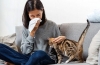 Typowe objawy alergii na koty, diagnostyka i leczenie patologii