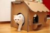 Instrukcje dla majsterkowiczów dotyczące tworzenia domku dla kota