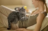 Jak mówią koty: komunikacja dźwiękowa i znaczenie kocich zachowań