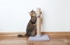 Drapak dla kotów: funkcje związane z majsterkowaniem