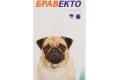 Instrukcje i recenzje dotyczące leku z nużycy dla psów „bravecto”