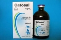 Catosal dla kotów