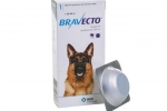 Bravecto dla psów: tabletki i krople
