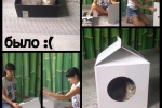 Domek dla kotów milkbox
