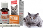 Hepatovet dla kotów: instrukcje użytkowania, skład
