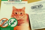 In-up complex dla kotów: ochrona zwierząt domowych przed wszelkimi pasożytami