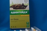 Instrukcje dotyczące leku „przewaga” dla kotów - zasady stosowania kropli, wskazań i pierwszej pomocy w przypadku zatrucia lekiem