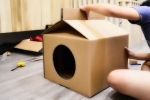 Robienie domu dla kota własnymi rękami: modele, instrukcje, materiały