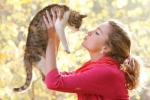 Jakie są choroby kotów przenoszone na ludzi??