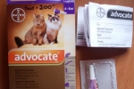 Drops advocate dla kotów (od pcheł) - instrukcje użytkowania i dawkowania leku