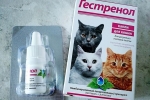 Krople dla kotów gestrenol: wskazania i instrukcje użytkowania