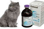 Catosal dla kotów: instrukcje użytkowania i recenzje leku